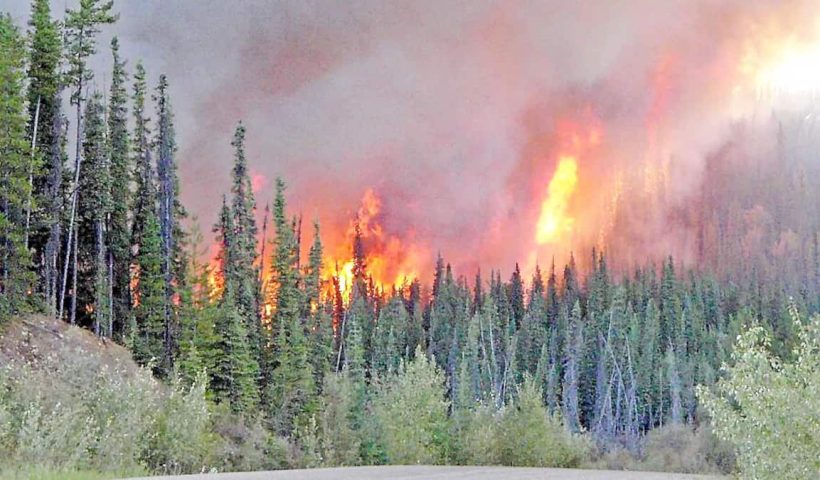 Feux de forêt en Alberta: presque tous d’origine humaine